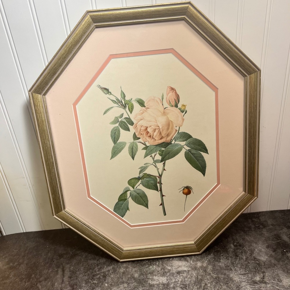Vintage Botanical Print | Pierre-Joseph Redoute | Cottage